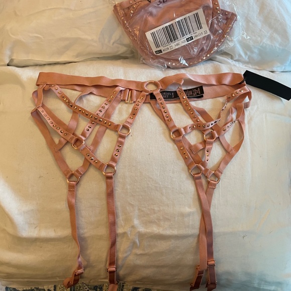 Victoria’s Secret Swarovski Crystal Pink satin w/crystals Bra and garter set NWT - Picture 3 of 8